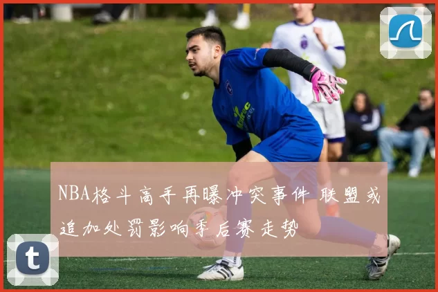 NBA格斗高手再曝冲突事件 联盟或追加处罚影响季后赛走势