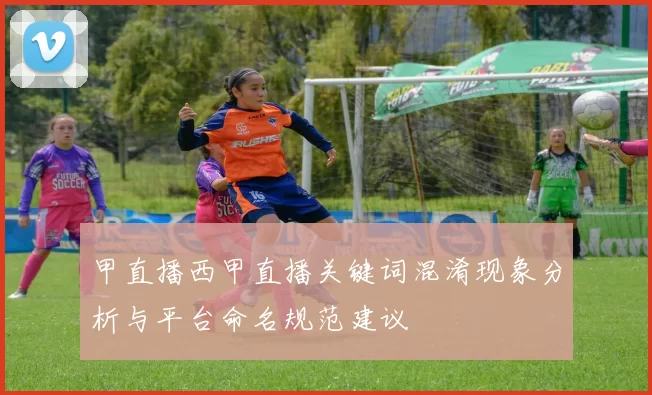 甲直播西甲直播关键词混淆现象分析与平台命名规范建议