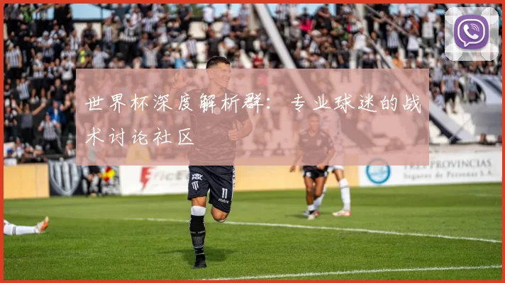 世界杯深度解析群:专业球迷的战术讨论社区