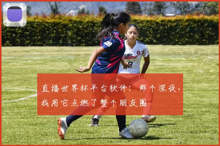 直播世界杯平台软件:那个深夜,我用它点燃了整个朋友圈