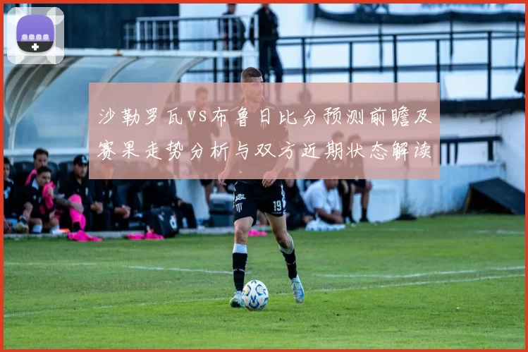 沙勒罗瓦vs布鲁日比分预测前瞻及赛果走势分析与双方近期状态解读