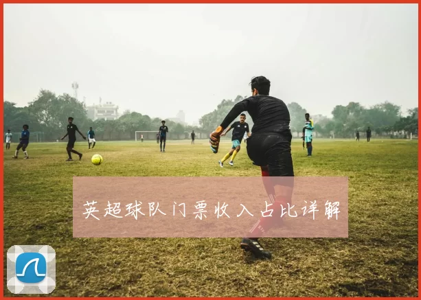 英超球队门票收入占比详解