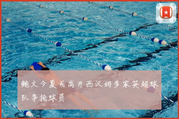 鲍文今夏或离开西汉姆多家英超球队争抢球员