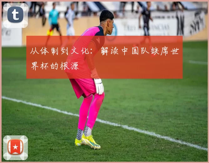 从体制到文化:解读中国队缺席世界杯的根源