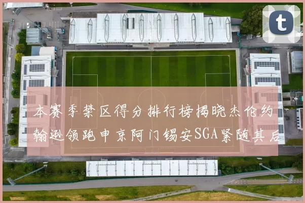 本赛季禁区得分排行榜揭晓杰伦约翰逊领跑申京阿门锡安SGA紧随其后